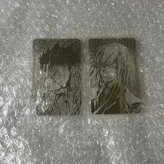 家庭教師ヒットマンREBORN! 箔カードコレクションXANXUS＆スクアーロ①