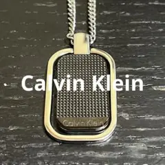 2026年最新】Calvin Klein レディース ネックレスの人気アイテム 