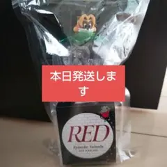 Ryosuke Yamada 山田涼介REDペンライト