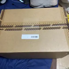 デスストランディング2 DEATH STRANDING 2