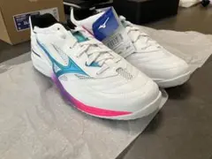 【限定300足】ウェーブドライブ9 卓球シューズ26.0cm