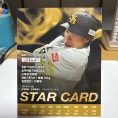 プロ野球チップス　スターカード　柳田悠岐