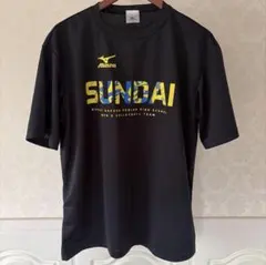 バレー 練習着 Tシャツ さくらバレー 全国私学 - メルカリ