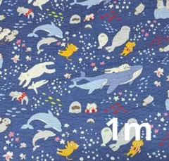 80903 生地〈海とねこ〉※やや訳あり
