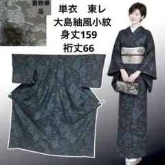 単衣　小紋　フルセット　着物　正絹　トールサイズ　ほのか彩り　裄65 G1 2026年最新】単衣の人気アイテム - メルカリ