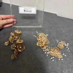 Item thumbnail for item 92b614d2-f7bd-45e5-b9ca-cd5e14d9605a