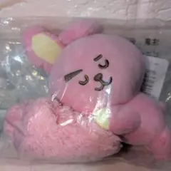 BT21 ぬいぐるみ　COOKY　グク