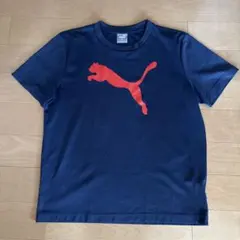 PUMA ネイビー Tシャツ Mサイズ