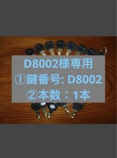 D8002様専用 ①鍵番号: D8002 ②本数：1本のサムネイル