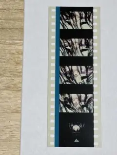 最終値下 まどかマギカ 叛逆 フィルム ほむら アルティメットまどか