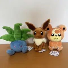 【新品】ポケモン やさしいきもち ナゾノクサ イーブイ ヒメグマ 全3種セット