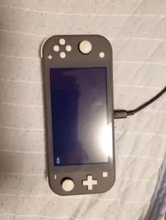 Nintendo Switch Lite グレー 専用ケース付き(修理済み品)