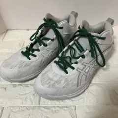 ASICS GELHOOP V17 EXTRA WIDE 29.0cm