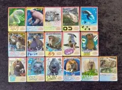 ノーマルコンプセット41枚 鳥羽水族館コレクションカード2(バラ売り可
