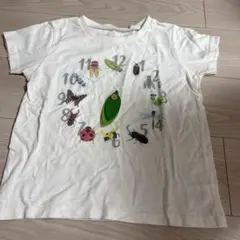 インセクトコレクション　半袖Tシャツ　むし時計