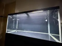 2026年最新】水槽90 45 45の人気アイテム - メルカリ