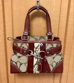 COACH エナメル スエード パイソン コーチ ハンドバッグ トートバッグ