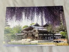 Item thumbnail for item 4dad6e64-690b-4271-8dbf-baa98b568f59