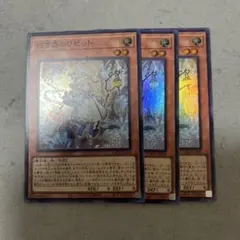 白き森のリゼット　スーパー3枚