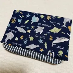 Item thumbnail for item cf0f8abc-f9ad-4fa7-a272-9aa6a7f75703