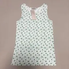 Item thumbnail for item eb3dc27a-359a-4fab-858c-340f974e3160