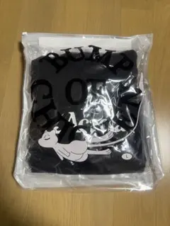 Pokemon × BUMP OF CHICKEN フーディー Mサイズ DVD Pokemon & BUMP OF CHICKEN Acacia Hoodie（Blu-ray付）