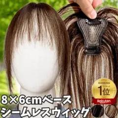 人毛100 ヘアピース【シルクスキン】ブラウン　ポイントウィッグ　トップピース 人毛100 ヘアピース【シルクスキン】ブラウン ポイントウィッグ トップ