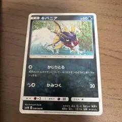 キバニア C SM1M コレクションムーン 038/060のサムネイル