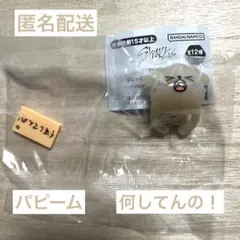 SKZOO ぷくっとバースデークリアリング パピーム　何してんの！