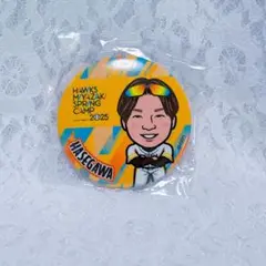 若鷹ガチャ 長谷川威展 缶バッジ