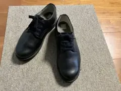 Item thumbnail for item 9c9e8f85-6242-4796-aacd-98b89da787d5