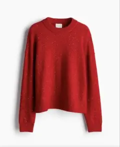 【値下げしました!】H&M エンベリッシュドセーター