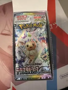 テラスタルフェスex 1box