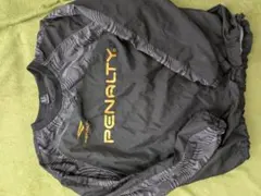 ペナルティ ピステ