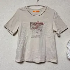 Fint フィント　ピクニック半袖Tシャツ F ベージュ　ニュアンスカラー難有のサムネイル