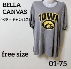 Item thumbnail for item d378eaef-59ee-491b-9ade-5833d3d3f88b