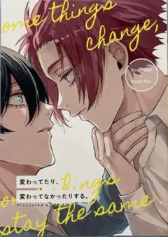 ブルーロック 同人誌 冴×凛