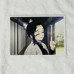 鬼滅の刃 胡蝶 しのぶ ビッグブロマイド 柱稽古　ufotable