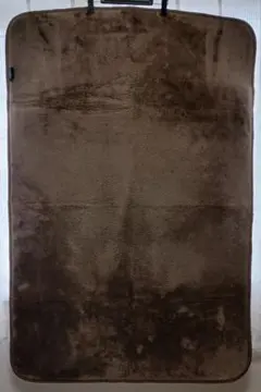 Item thumbnail for item 35e7de0e-639a-4cca-a709-ab44330e3e9f