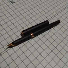 2026年最新】万年筆 PARKER 95の人気アイテム - メルカリ