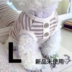 犬服♡ドッグウェア♡ブラウン♡ボーダー♡薄手♡春夏♡伸縮性