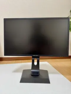 I・O DATE GigaCrysta 23.6型　ディスプレイ