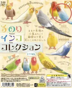 手乗りインココレクション　ボタンインコ