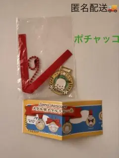 サンリオキャラクターズメダル風メタルチャーム　ポチャッコ