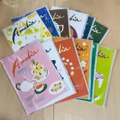 翻訳者　Amelia（アメリア）情報誌　2025年1月～12月　定例トライアル無