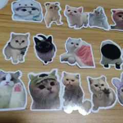 新品未使用で可愛い猫のステッカー28枚セットです