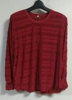 プリーツ　カットソー　トップス　ストレッチ　エレガント　光沢感　赤　大きいサイズ