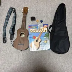 サンレレ Umi Ashibi 海遊び 沖縄 三線 ウクレレ 工房まちだ屋 - メルカリ