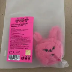 TXT プルバトゥ　フェイス　キーリング　ファンチュン