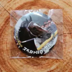 ダービー馬列伝くじ　トレーディング缶バッチ　スペシャルウィーク　缶バッチ